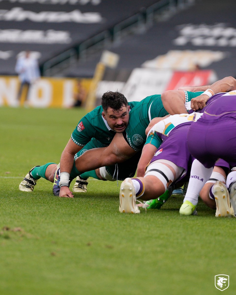 Chicago Hounds tweet media