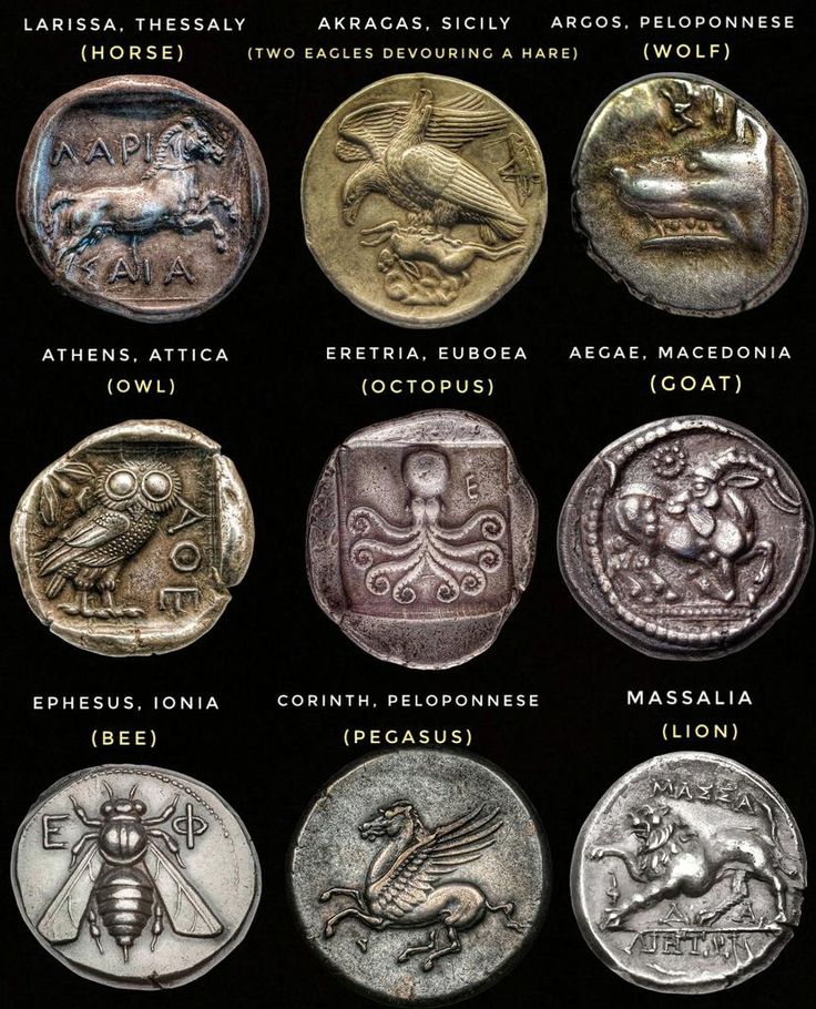 LeoDaVinciWave tweet media