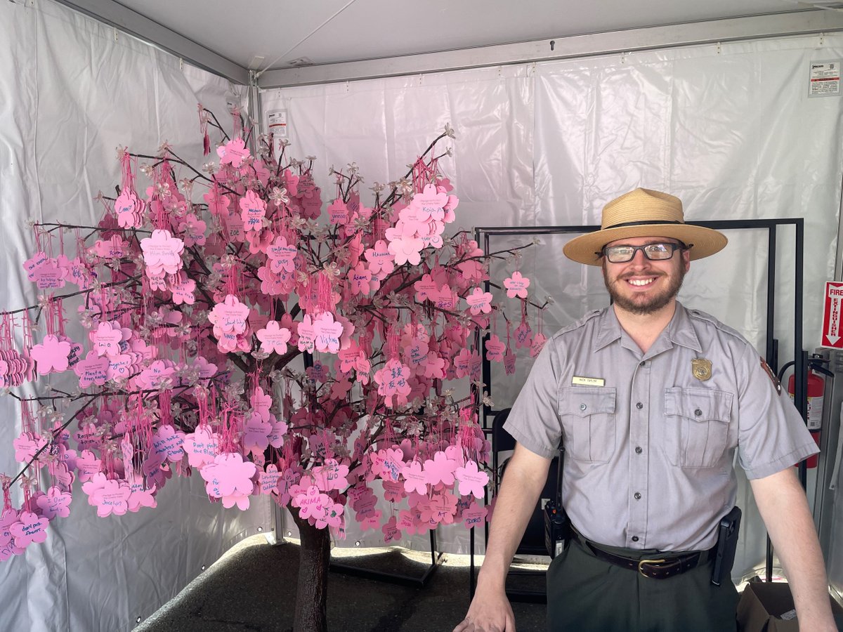NationalMallNPS's tweet photo. If you're coming down to the National Mall this weekend to see the last of the Yoshino cherry blossoms or the first of the Kwanzan cherry blossoms or just to take a nice stroll by the Tidal Basin, don't forget to stop by the BloomFest Welcome Area by the Jefferson Memorial. Check out the program schedule: https://t.co/hhFw6dEEgX
🌸🌸 🌸 #CherryBlossom #WashingtonDC