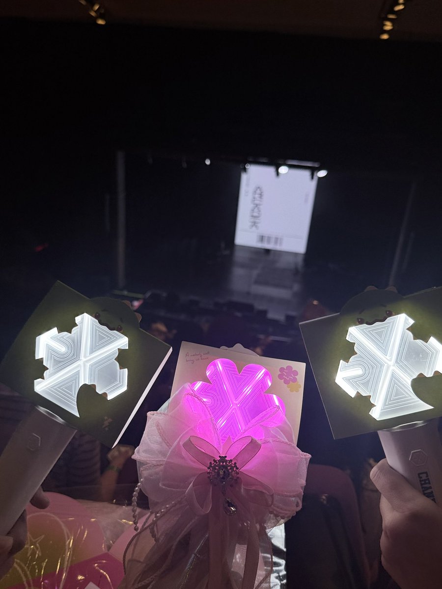 보핍 🌻 tweet media