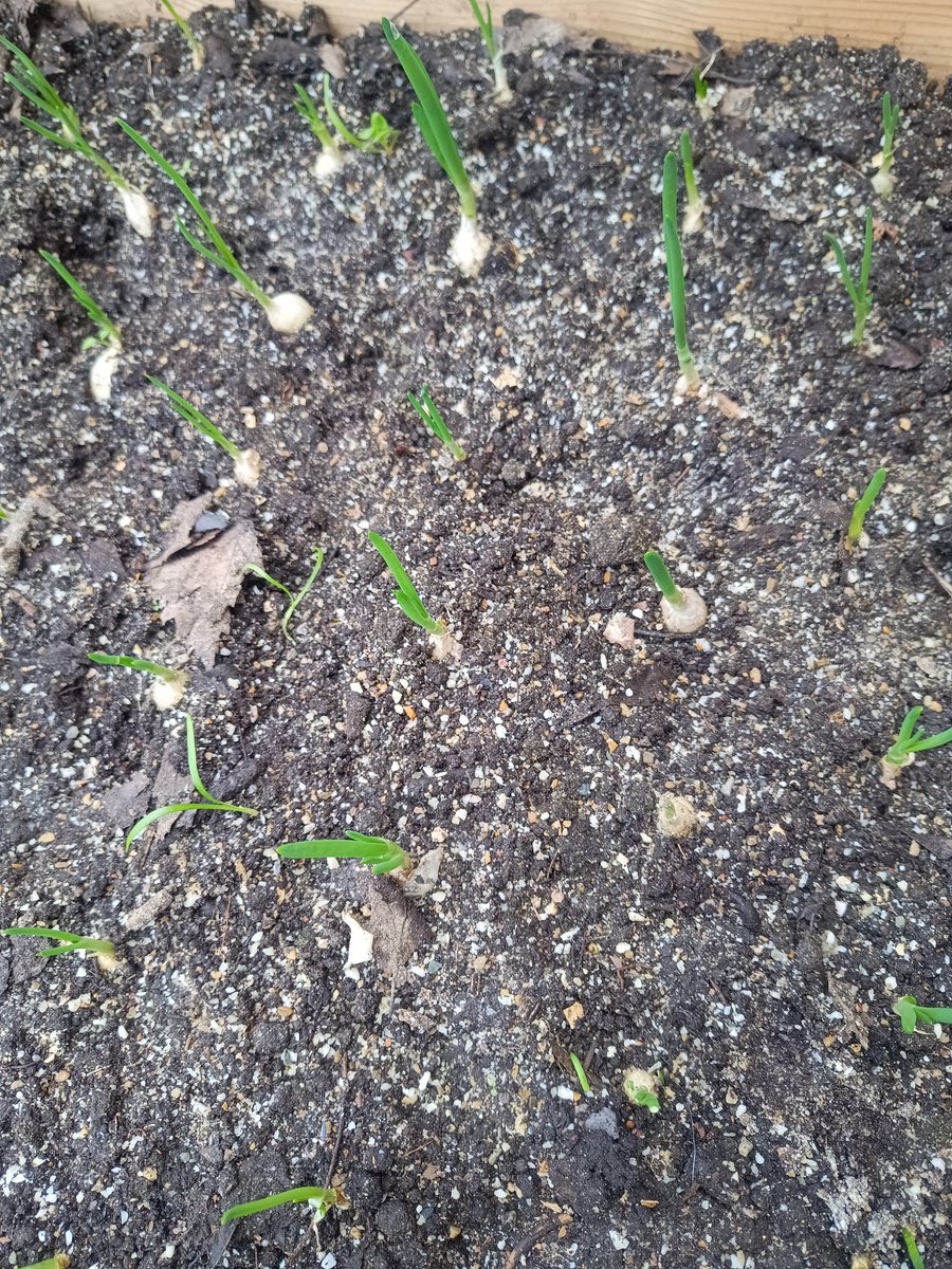 SmokerJoe tweet media