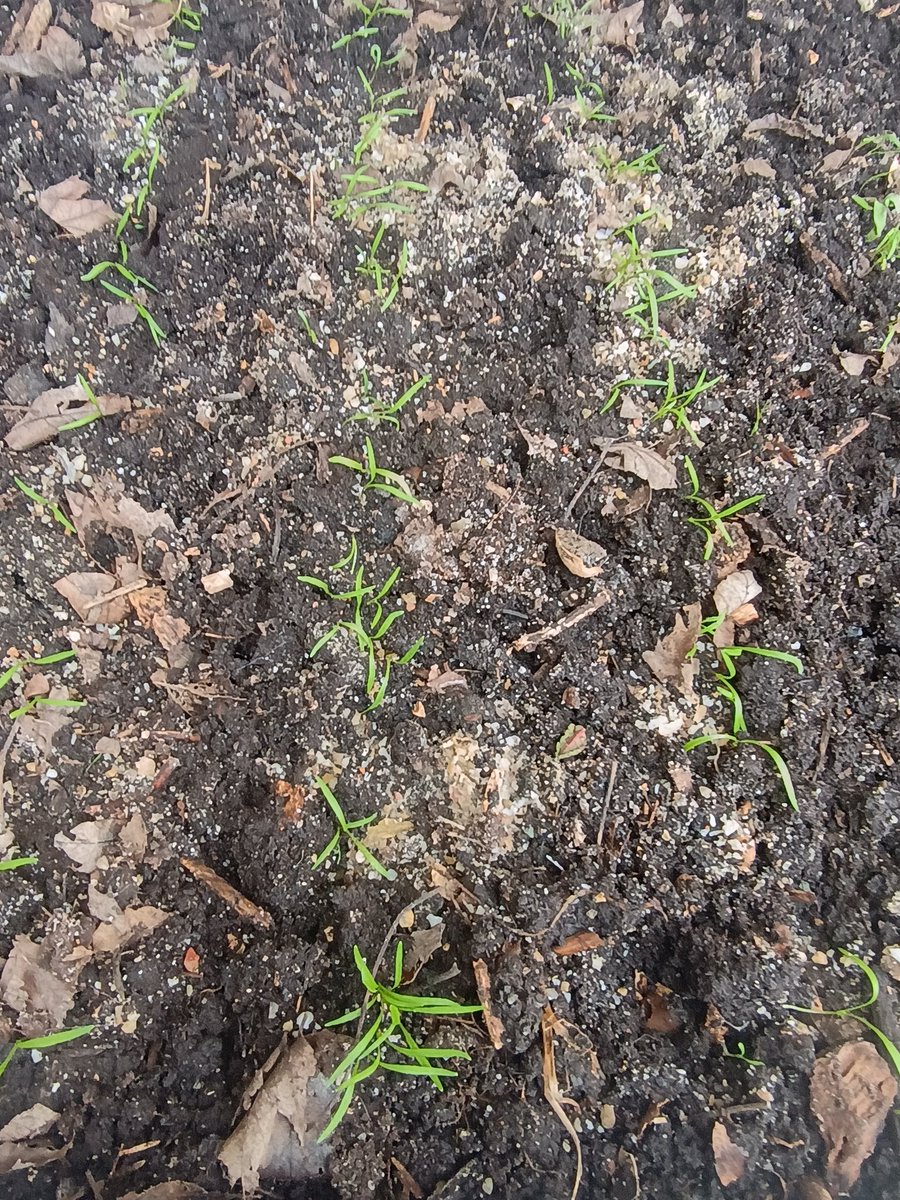 SmokerJoe tweet media