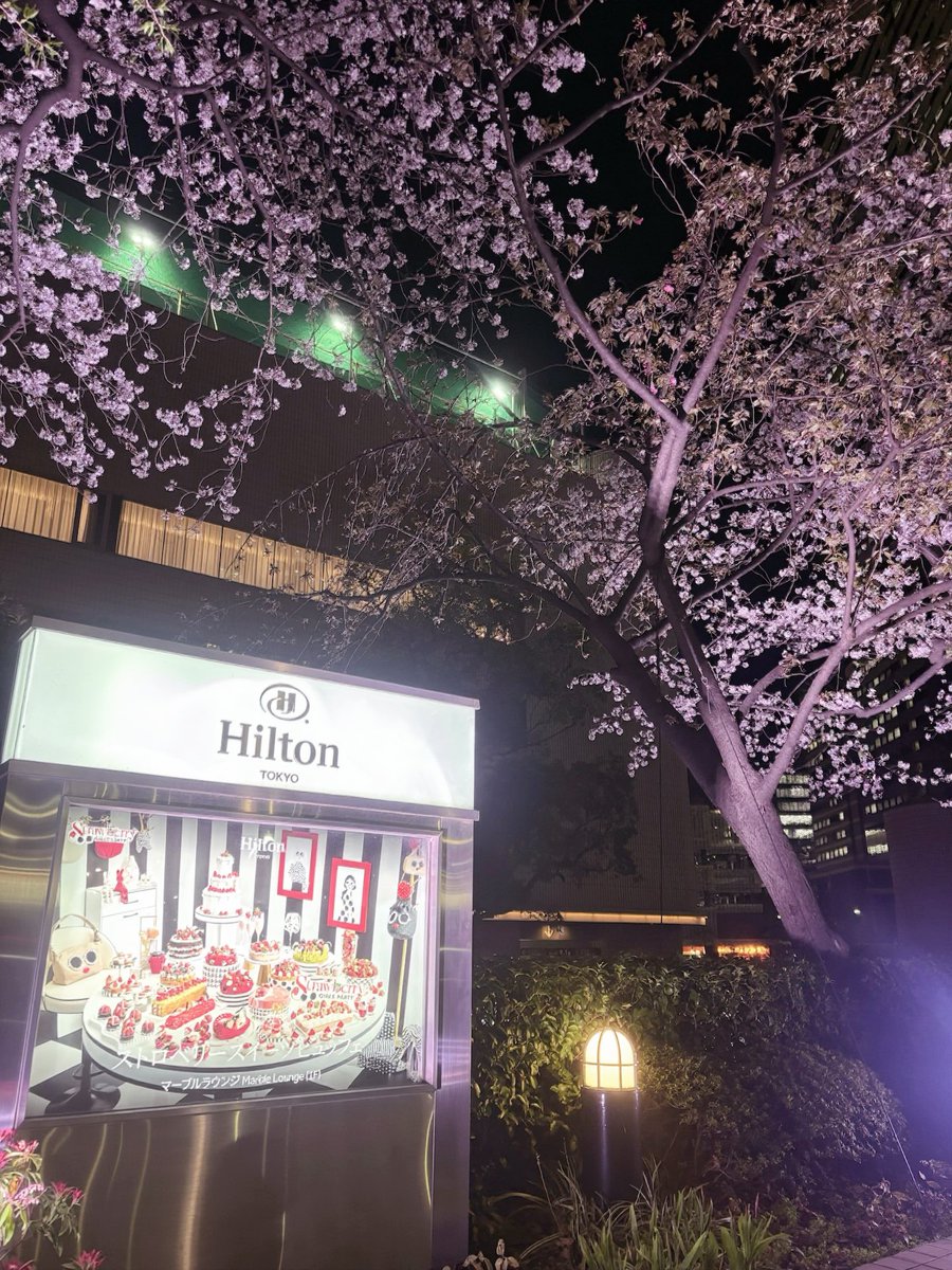 おぉば♡ tweet media