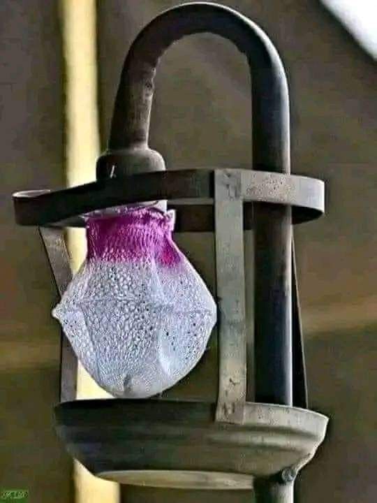 Sweet Nector tweet media