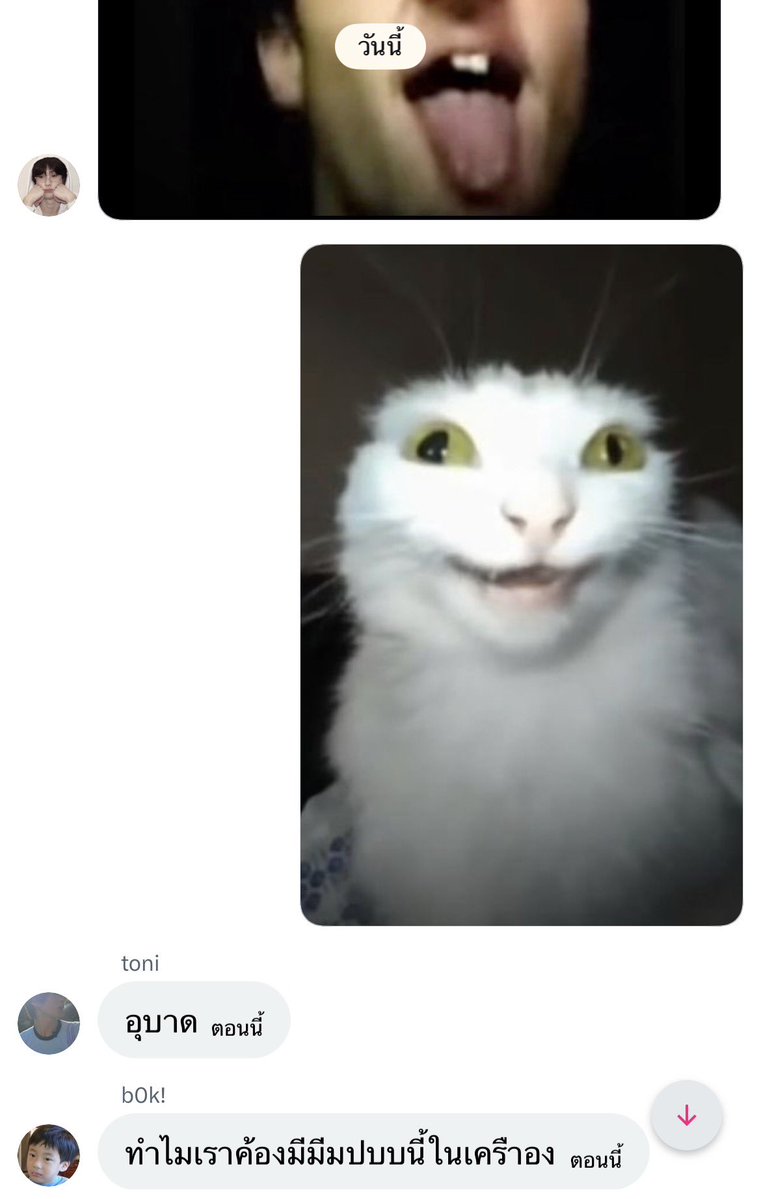 แรบบิท tweet media