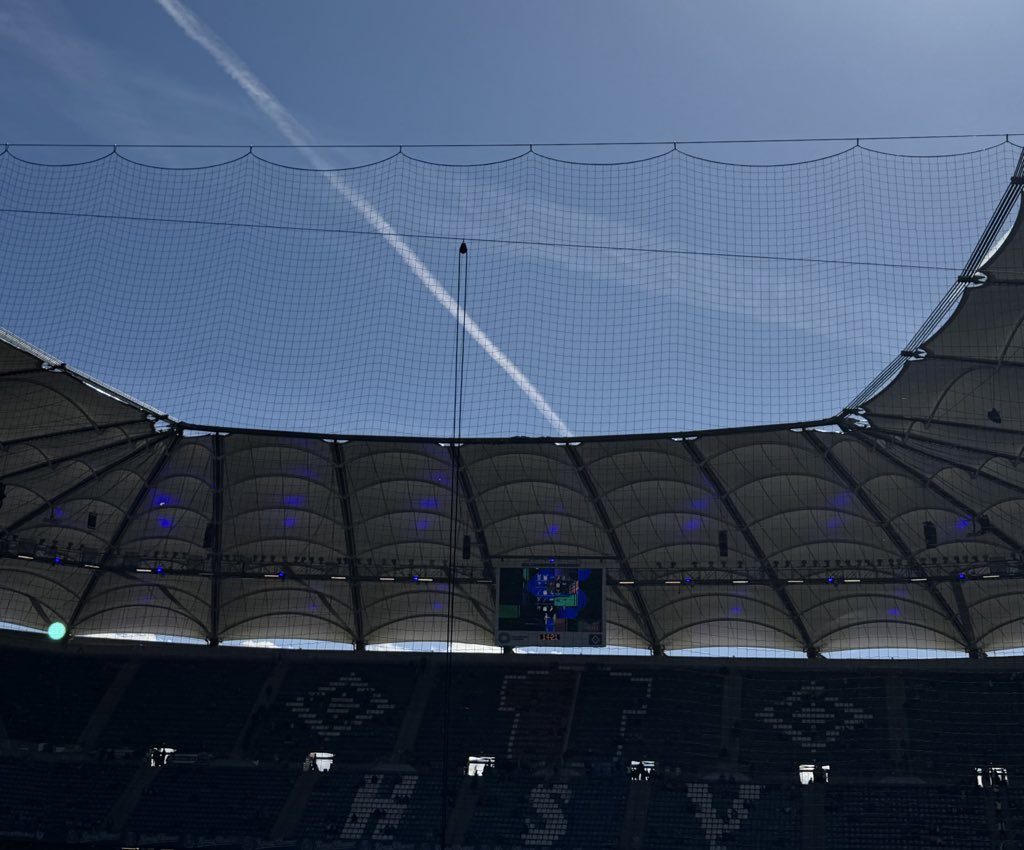 Tim-Leon tweet media