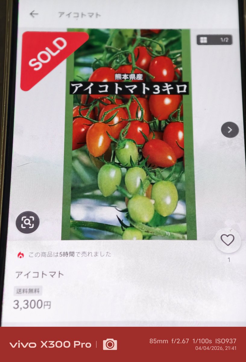 2TBのスマホを使っているSam tweet media