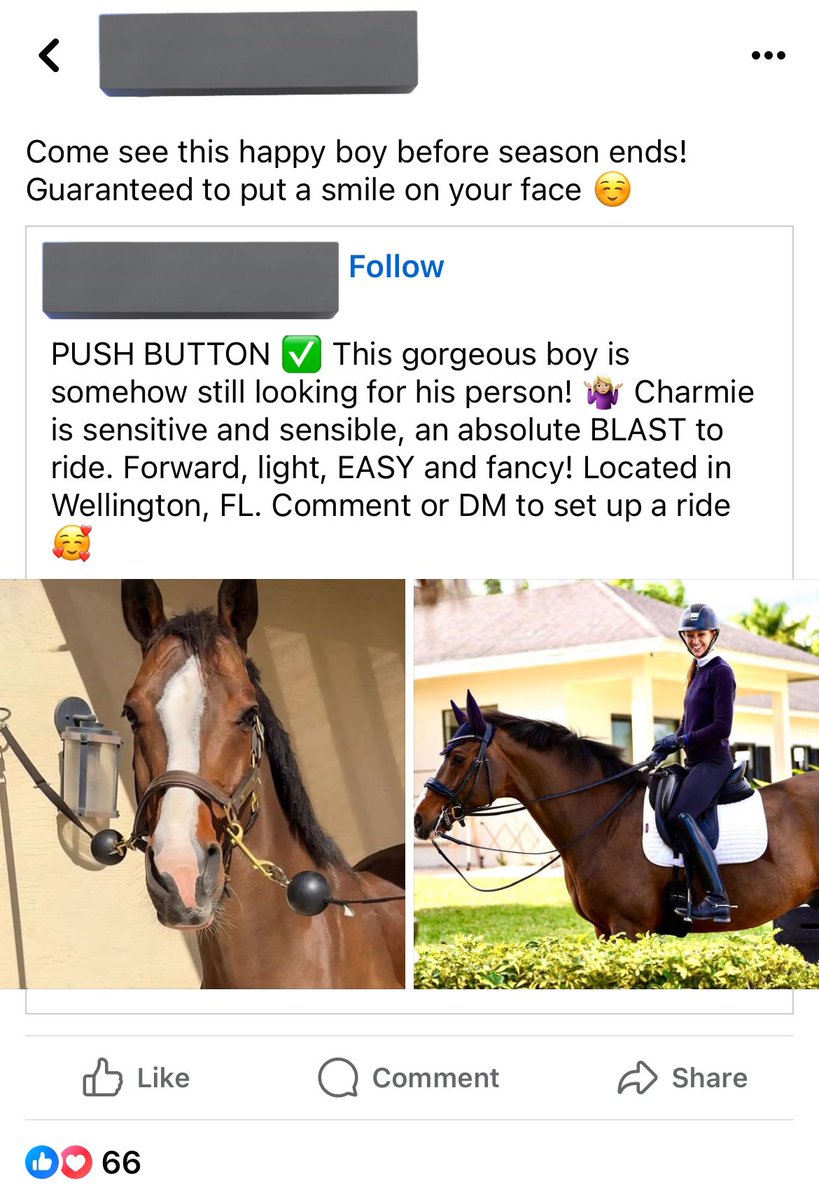 neptune ☆ tweet media