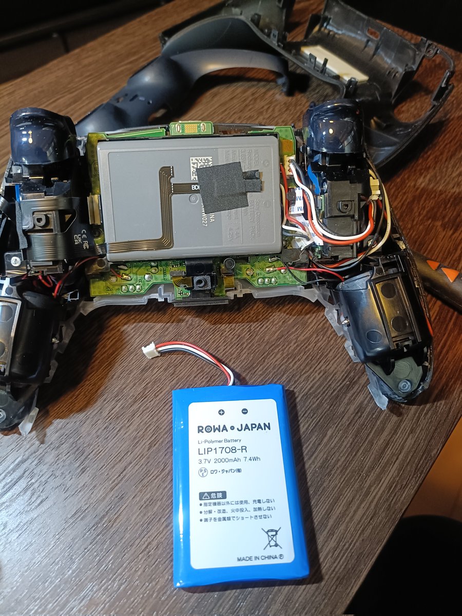 ネコエボリューション tweet media