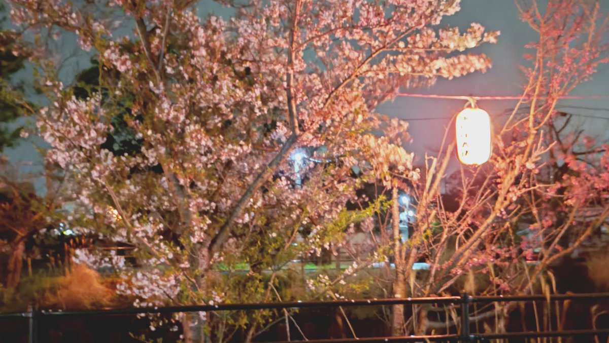 まっくすたっくす tweet media