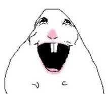 🥔Chip1🥔 tweet media