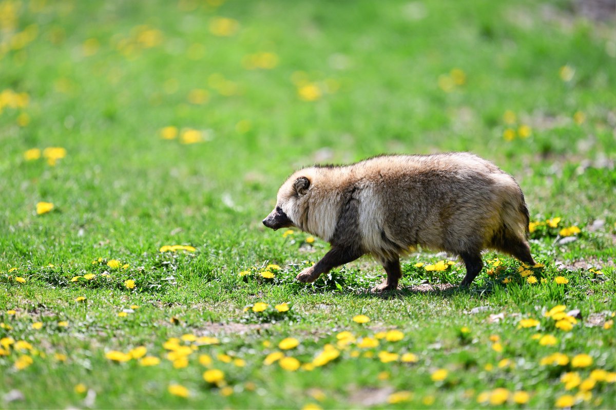 空白寺 tweet media