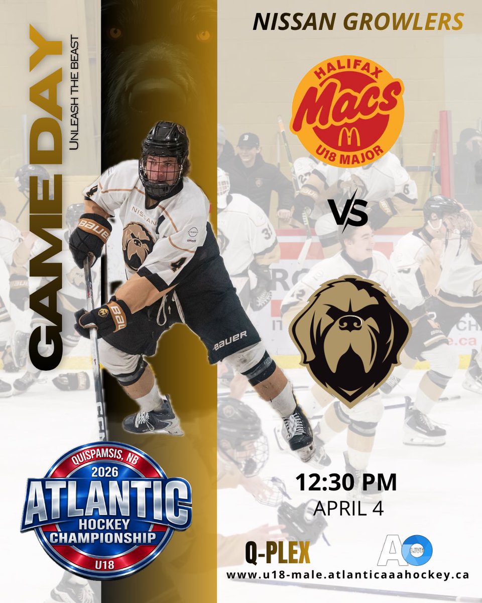 AAAGrowlers's tweet photo. ⬛️⬜️🟨 Game Day - Atlantics Game #3!!
🕢 12:30PM
🆚 @HfxMacs
📍 qplex (Quispamsis, NB)
📺 https://t.co/oJTDyVYpem
#NoTimeOff #Woof https://t.co/tqjdjosOp8
