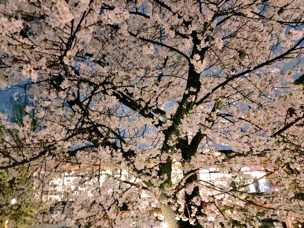 あきみ🍒 tweet media