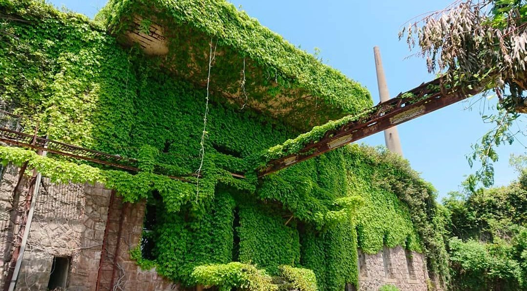 ちい𓆝𓆞 tweet media