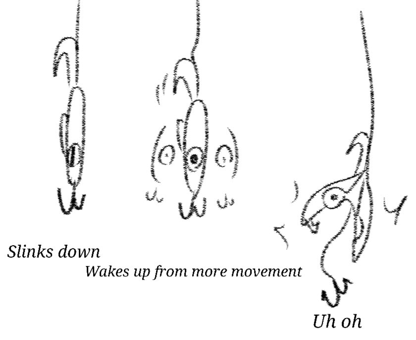 Urbanshade tweet media