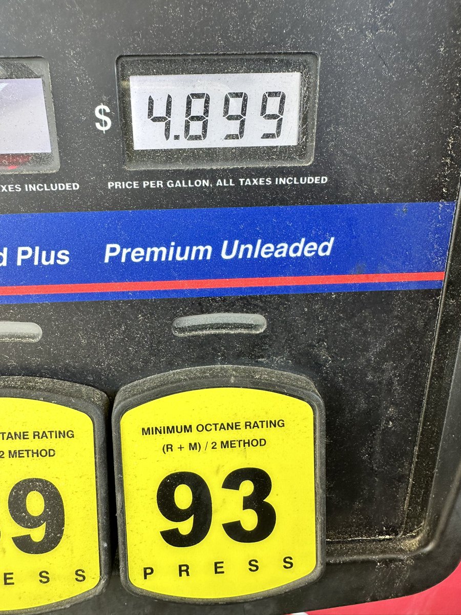 Kathryn Gator tweet media