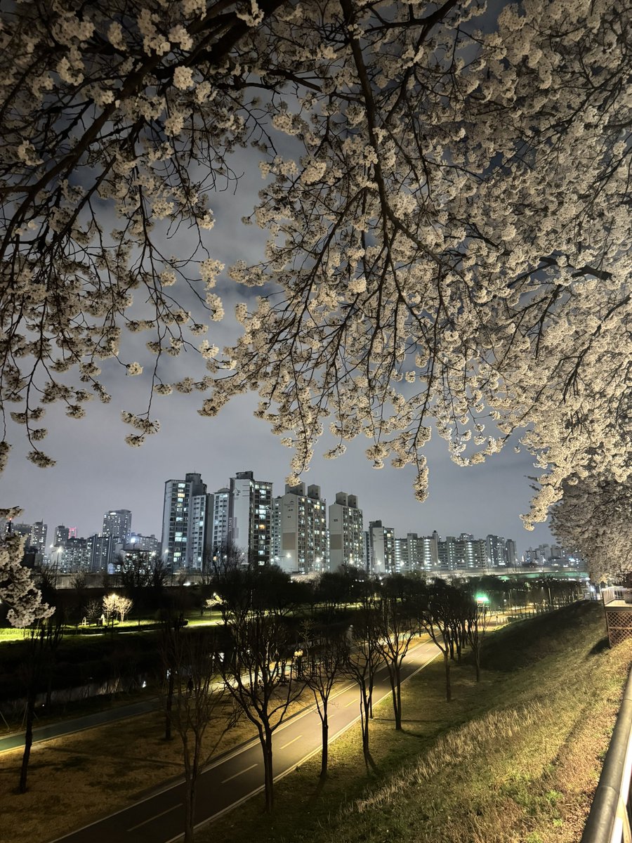 𝙎𝙪𝙯𝙯𝙮 🐉💛🌼 tweet media