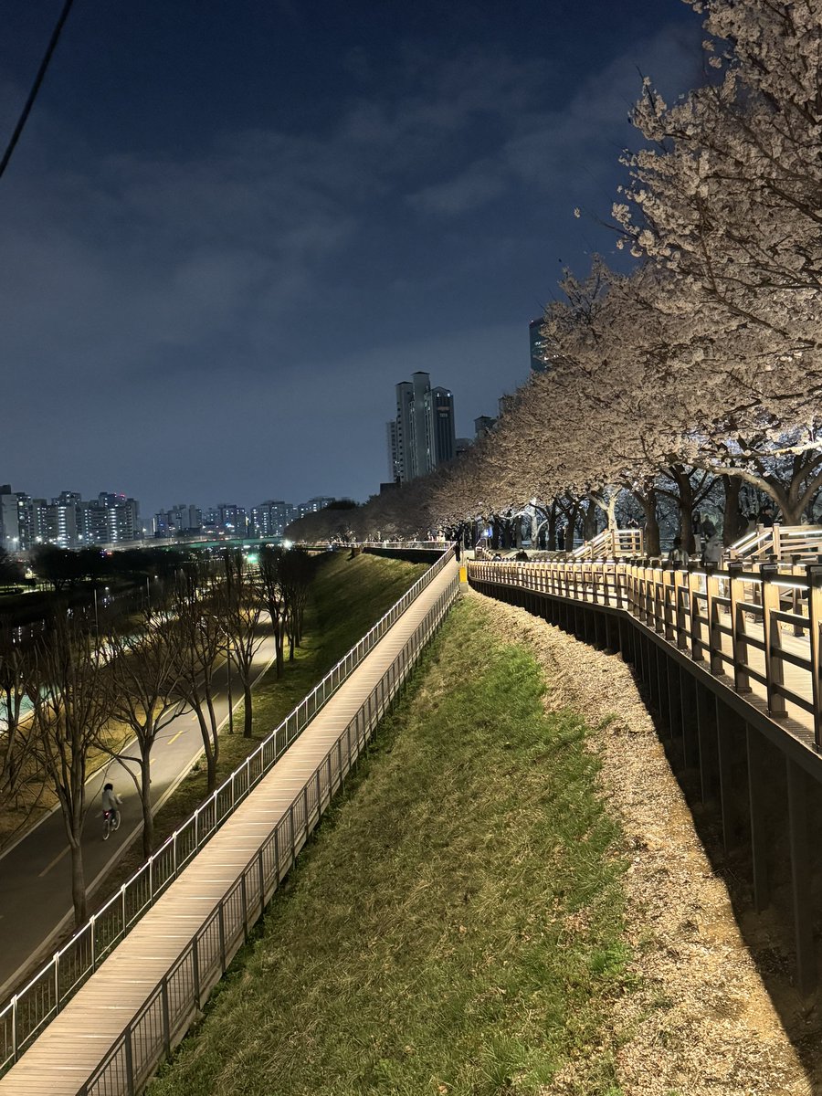 𝙎𝙪𝙯𝙯𝙮 🐉💛🌼 tweet media