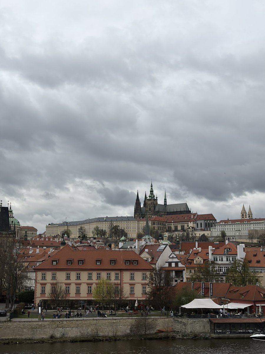 FD🏴󠁧󠁢󠁥󠁮󠁧󠁿 tweet media