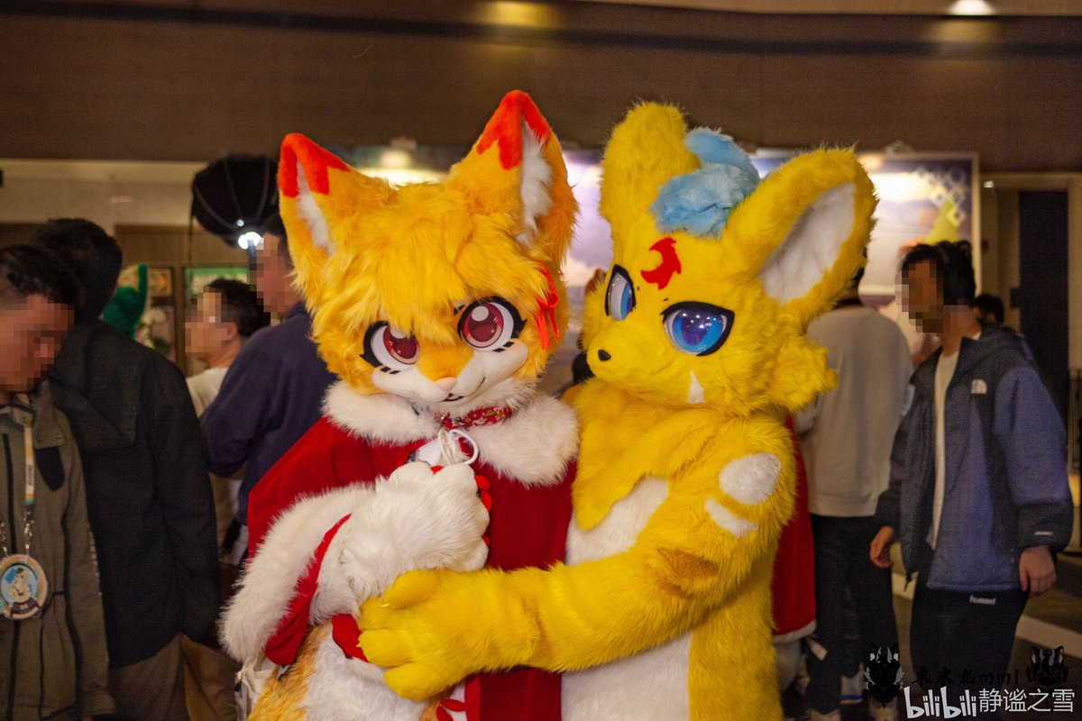 JingmiSnow the CatDragon 静谧之雪 tweet media