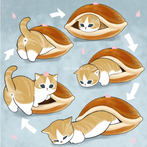 ぢゅの🐈 tweet media