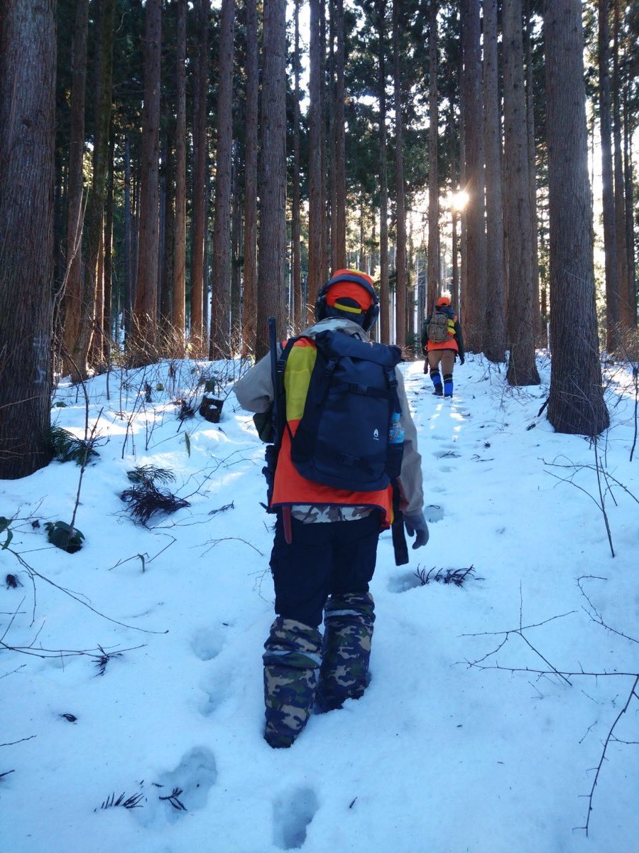 NONbe0sn0's tweet photo. @GoodAmericanMan アメリカの森は素晴らしいですね！憧れです。
日本の静かな冬の雪山も良いですよ。 https://t.co/niUdskFSHs