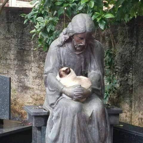 Алхимик Московский tweet media