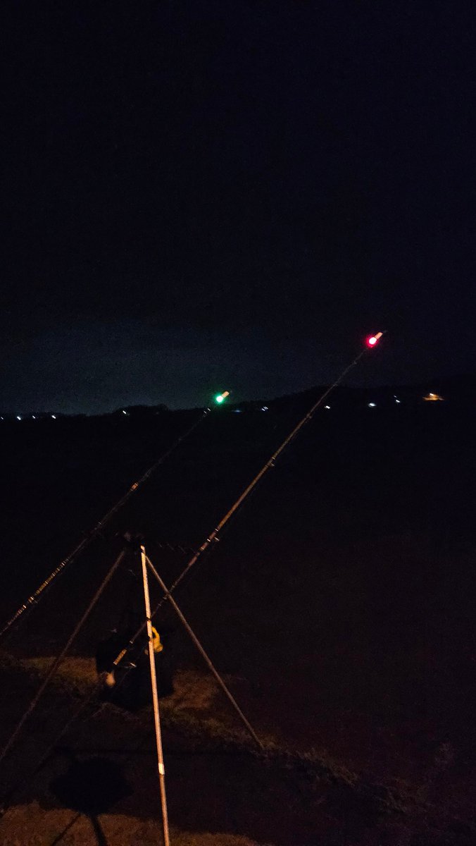 となりのTK@今年は釣りがしたい tweet media