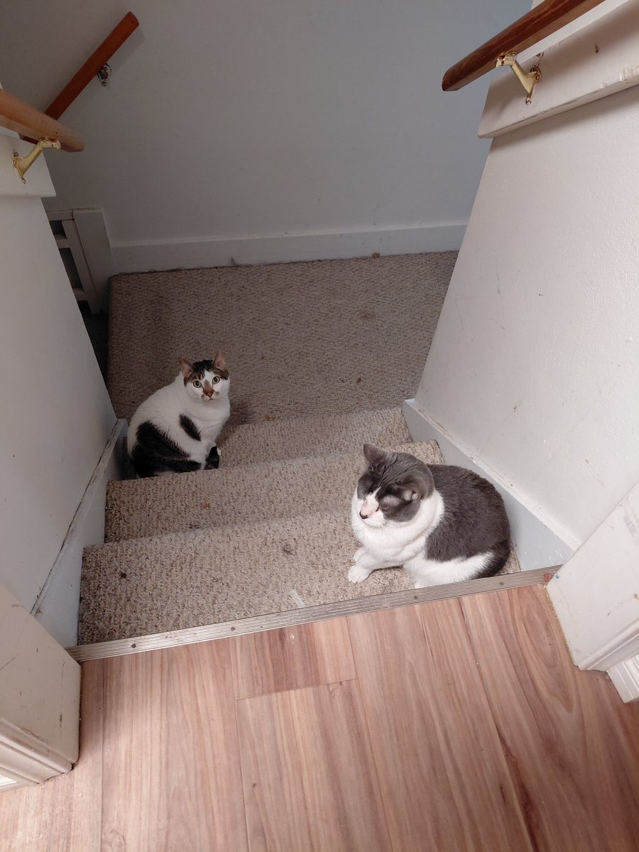 PraetorianJack tweet media