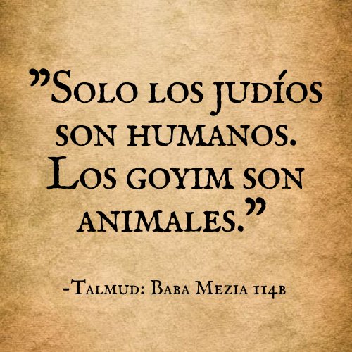 franklin🇻🇪🇵🇸 tweet media