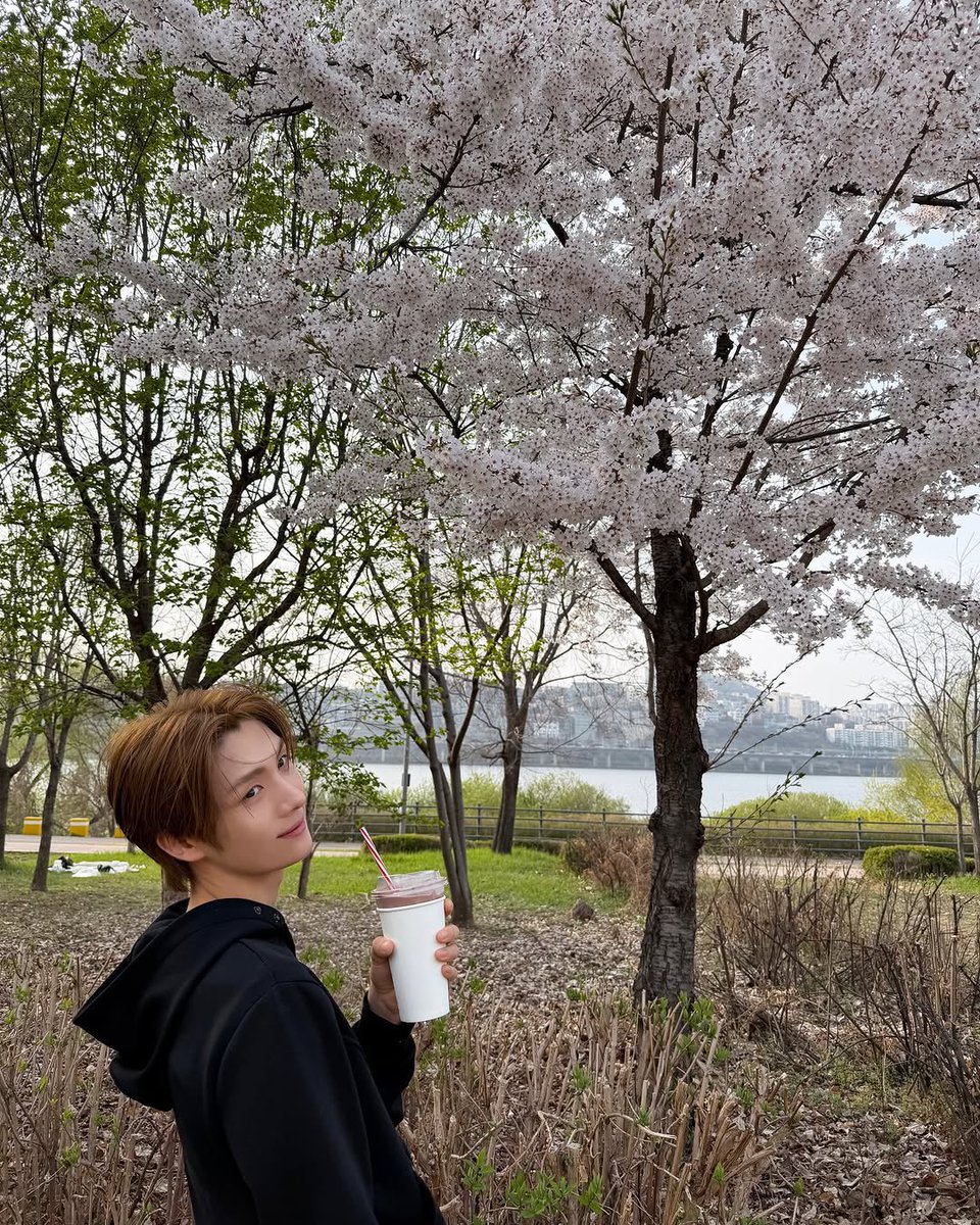 YoungGuinea247's tweet photo. 🐶: Han River Cherry Blossom date with Shinyu-yu ❤️🌸

Song: Carpenters - (They Long to Be) Close to You

#신유 #SHINYU #シニュ #신정환
#투어스 #TWS #YOUNGJAE #영재 #ヨンジェ #우유빵즈 #Uyuppangz #milkbreadz https://t.co/BbqdovpzuV