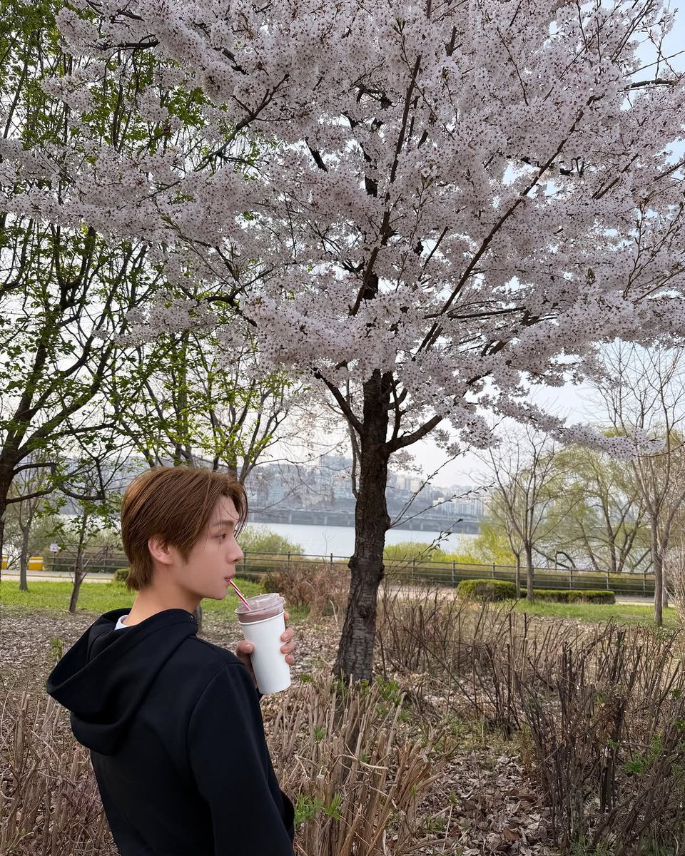 YoungGuinea247's tweet photo. 🐶: Han River Cherry Blossom date with Shinyu-yu ❤️🌸

Song: Carpenters - (They Long to Be) Close to You

#신유 #SHINYU #シニュ #신정환
#투어스 #TWS #YOUNGJAE #영재 #ヨンジェ #우유빵즈 #Uyuppangz #milkbreadz https://t.co/BbqdovpzuV