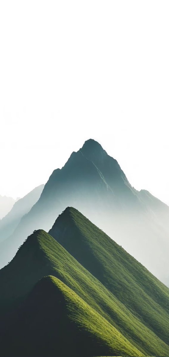 叮叮(互fo)💯💯💯 tweet media