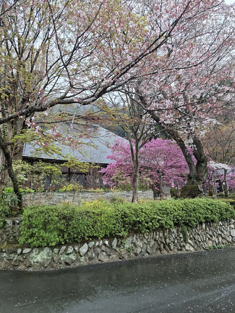 ハンドメイドサークルピュア tweet media