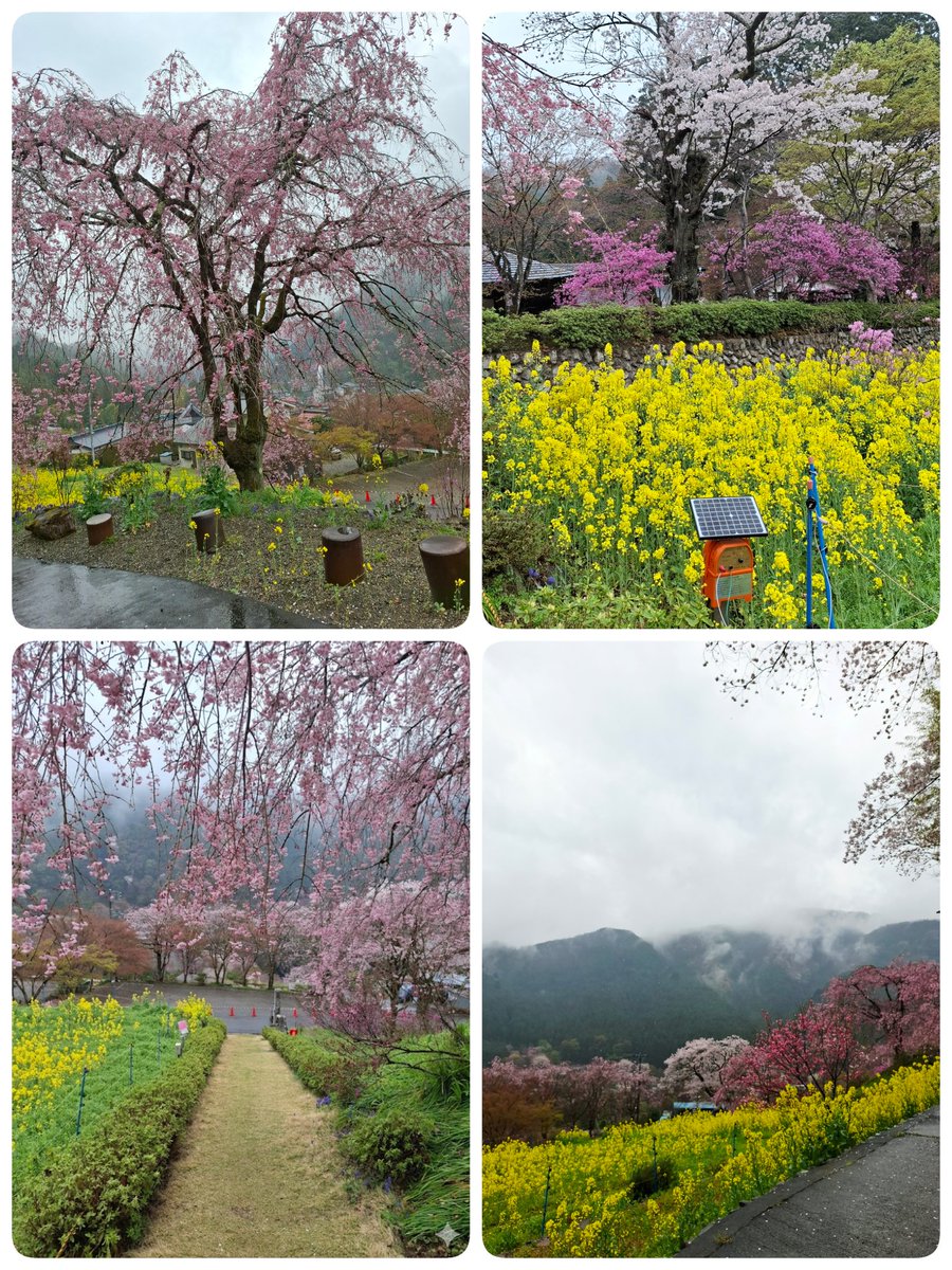 ハンドメイドサークルピュア tweet media