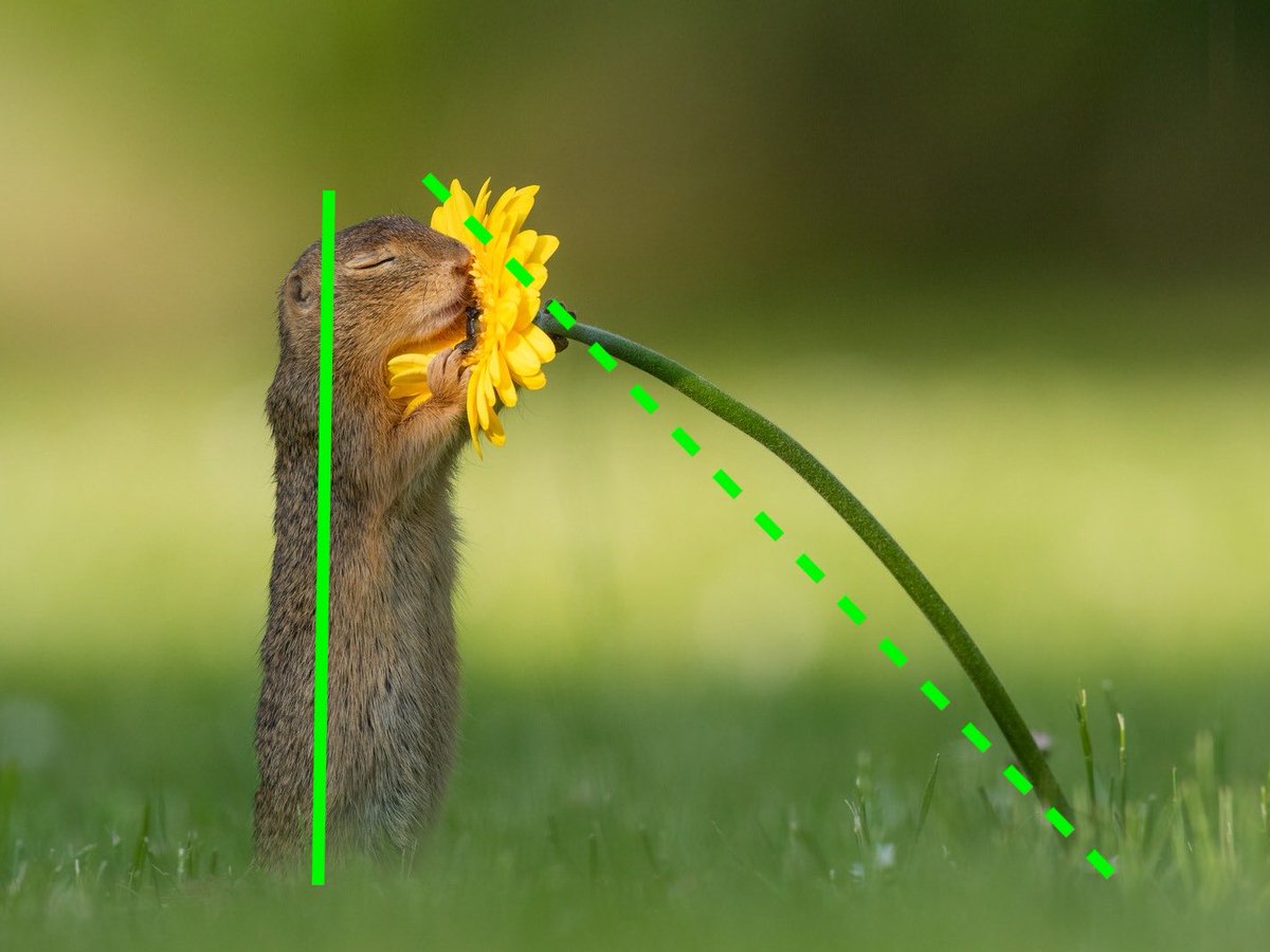 alpharivelino's tweet photo. Don’t lean into the flower. Pull the flower into you https://t.co/QFupOm36XO