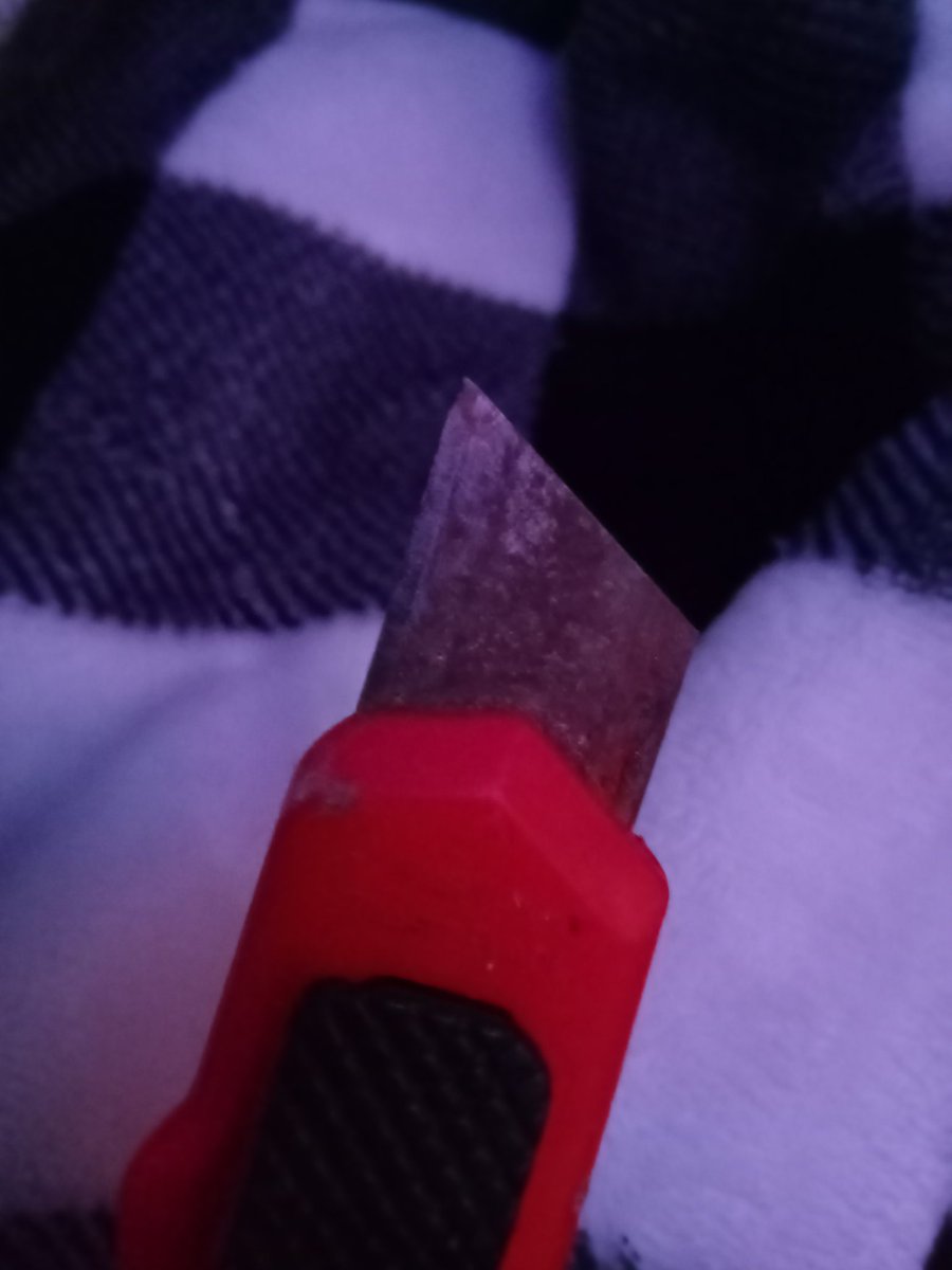 rock of shtwt tweet media