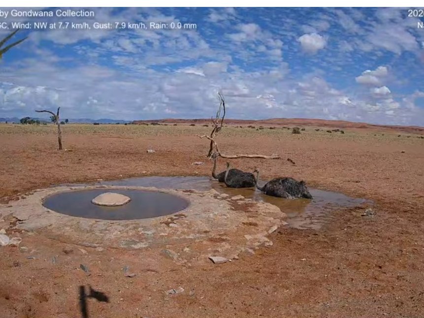 も◇あい tweet media