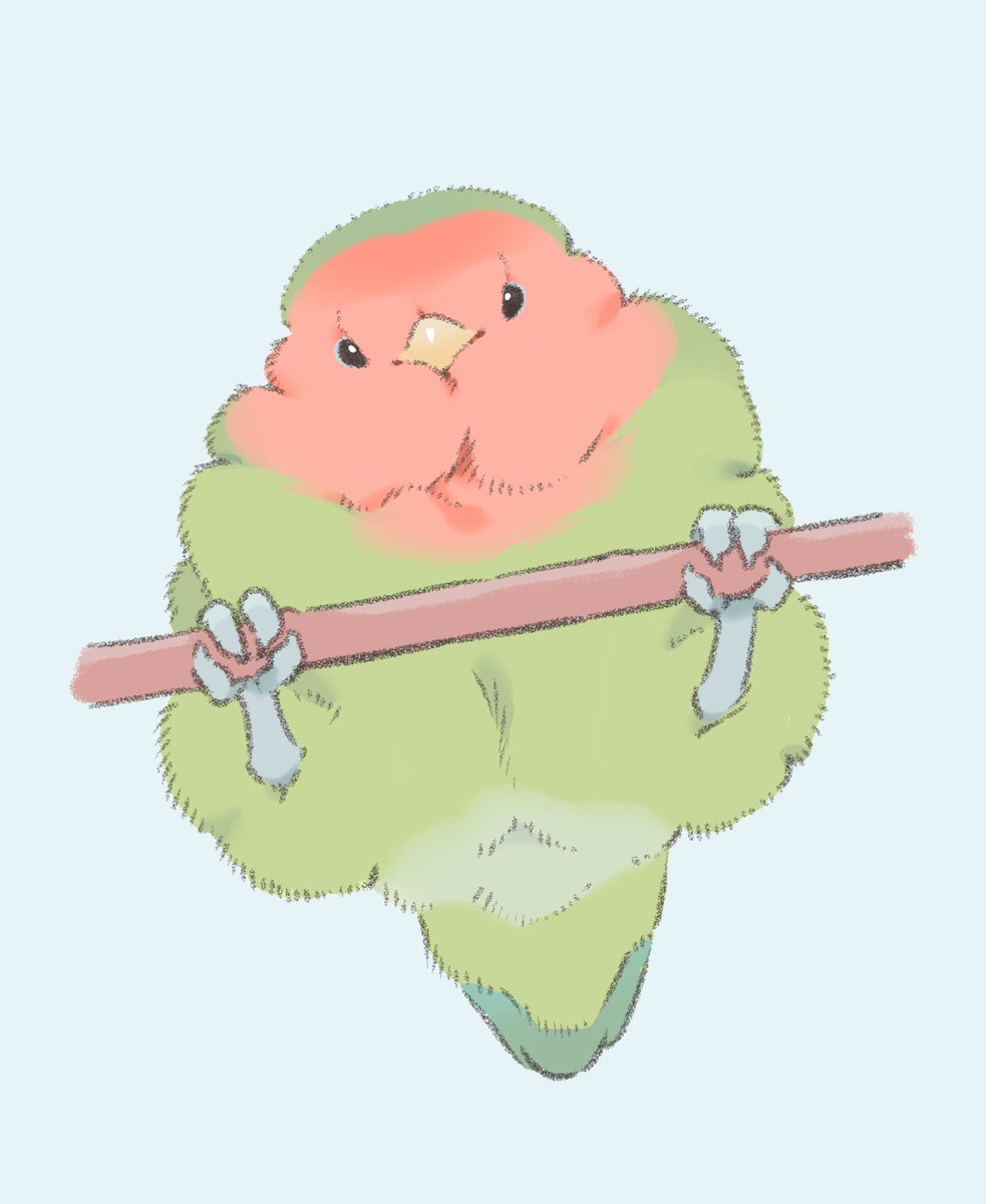 鳥モフ tweet media