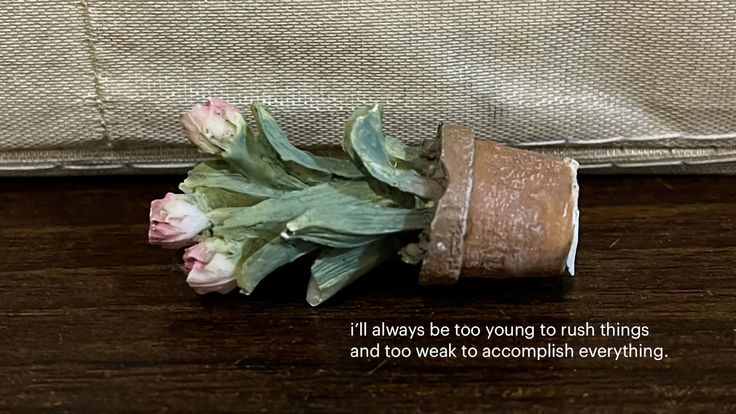 Princess, tweet media