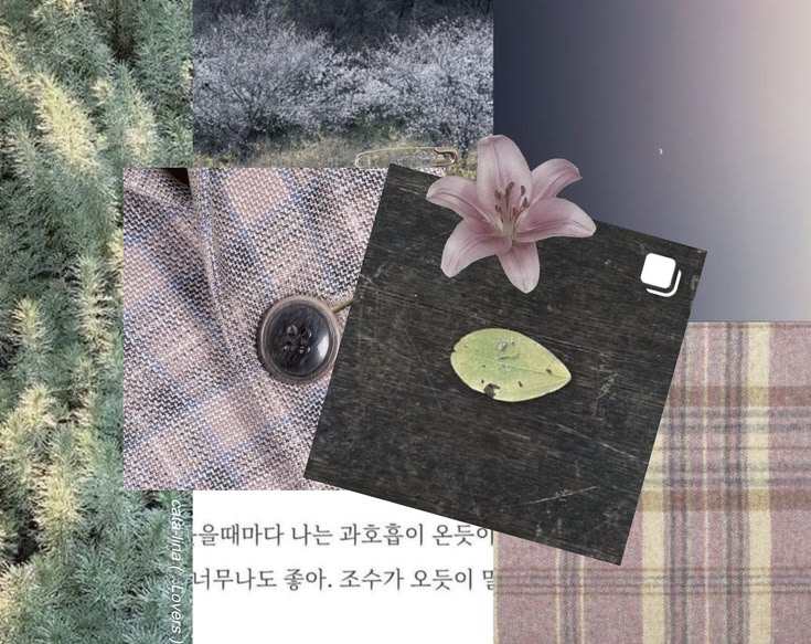 Princess, tweet media