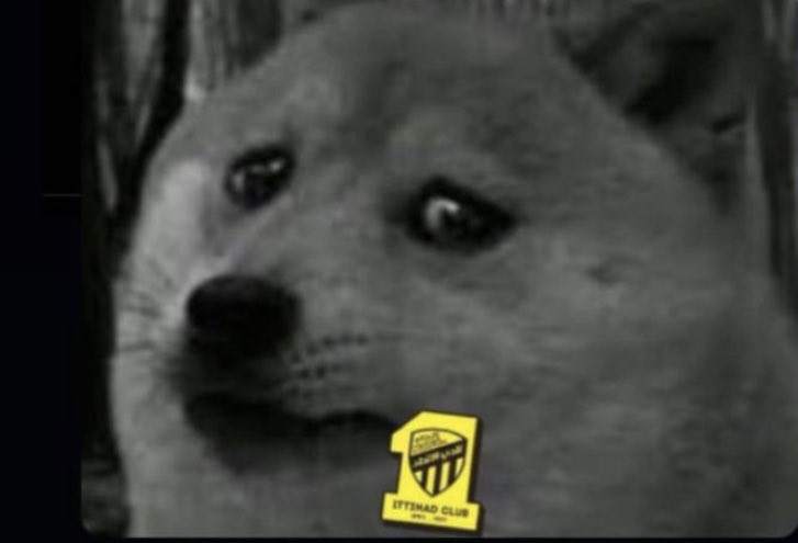 N 🇫🇷 tweet media