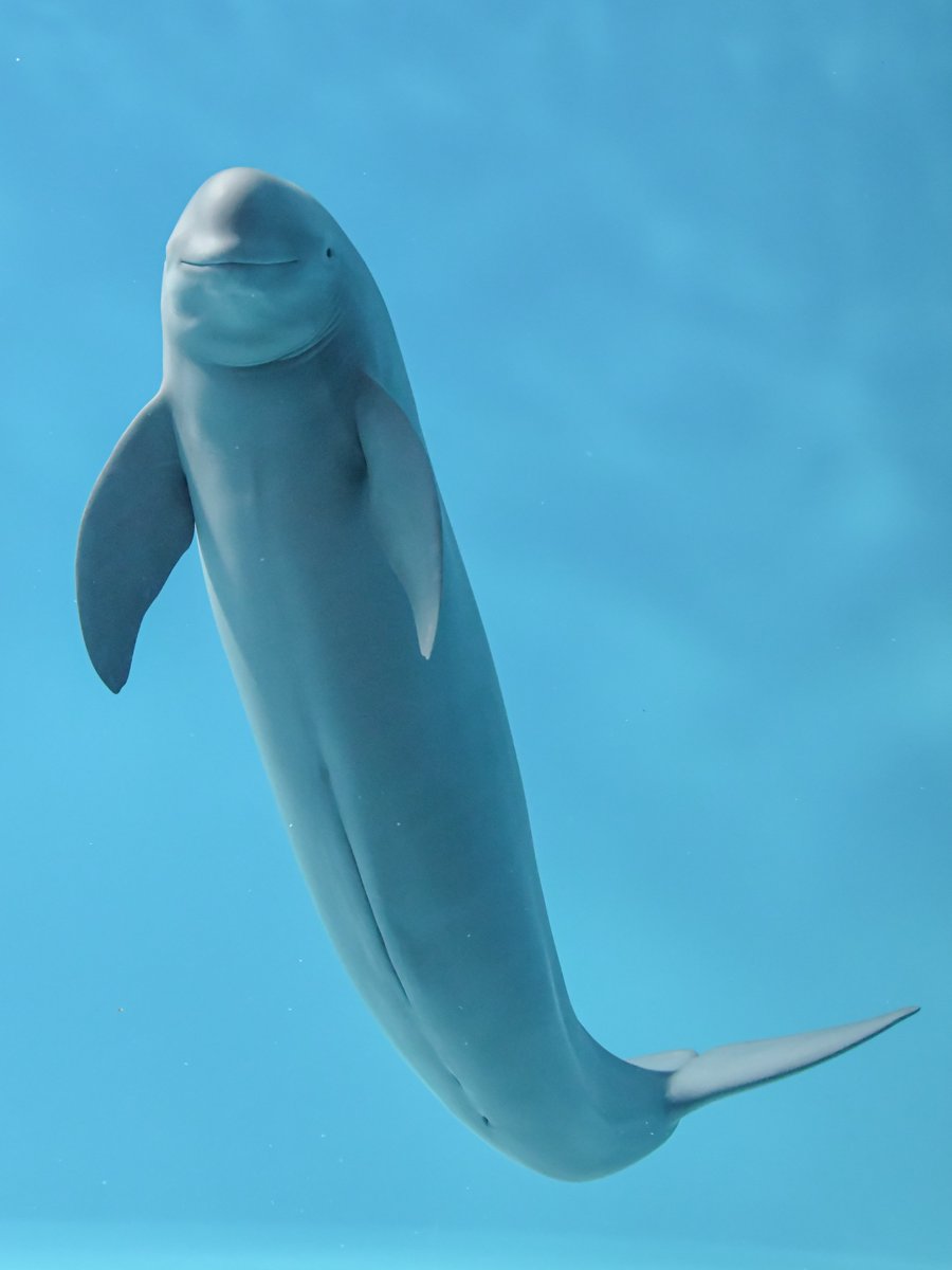 なたりっぷ tweet media