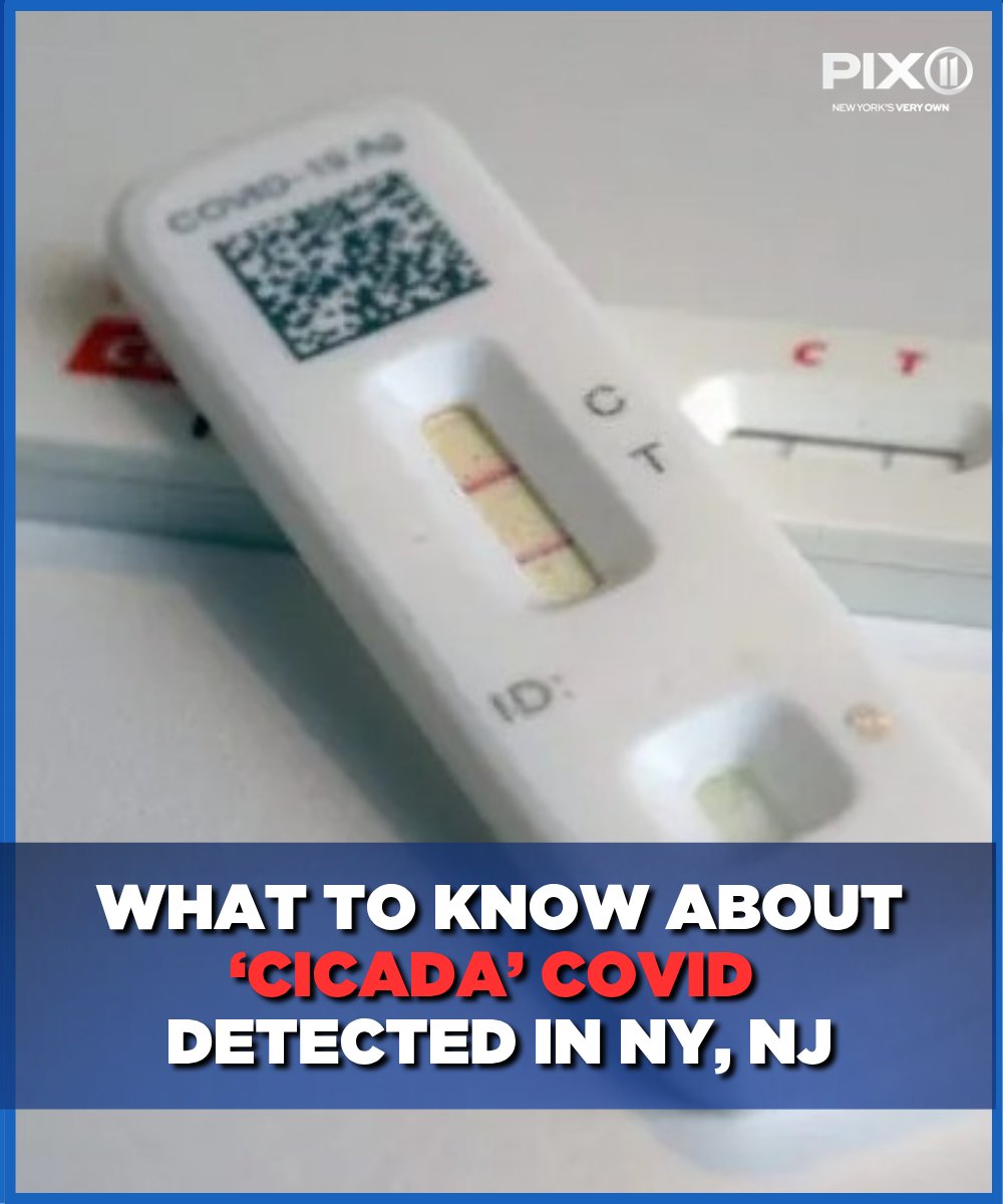 PIX11 News tweet media