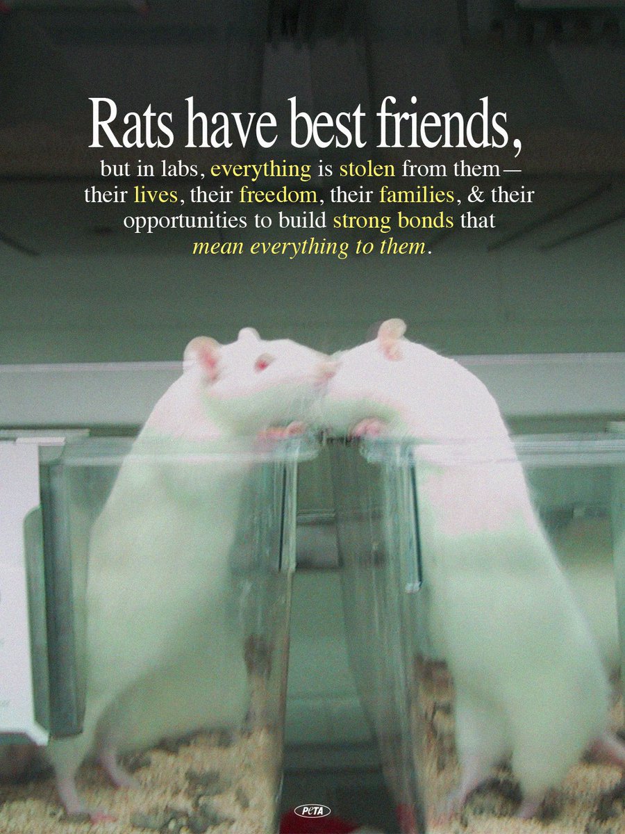 PETA tweet media