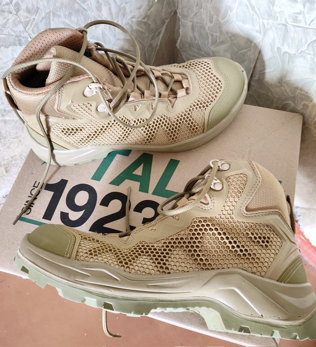 Зуби Паскаля tweet media