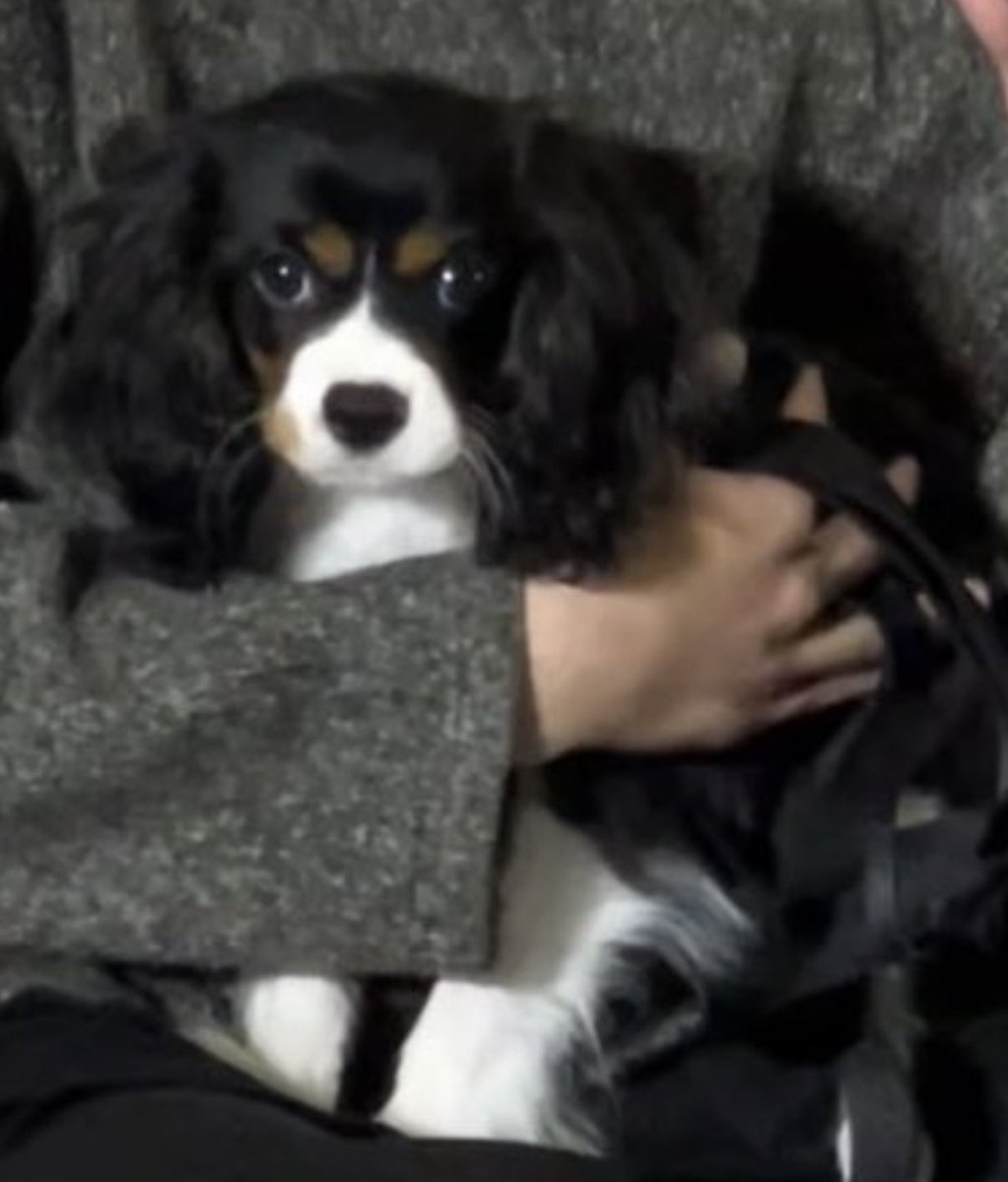 มอมิ้นท์`· .˚ʚ♡ɞ˚ ┐( ̄ヮ ̄)┌ ♡🥂 tweet media