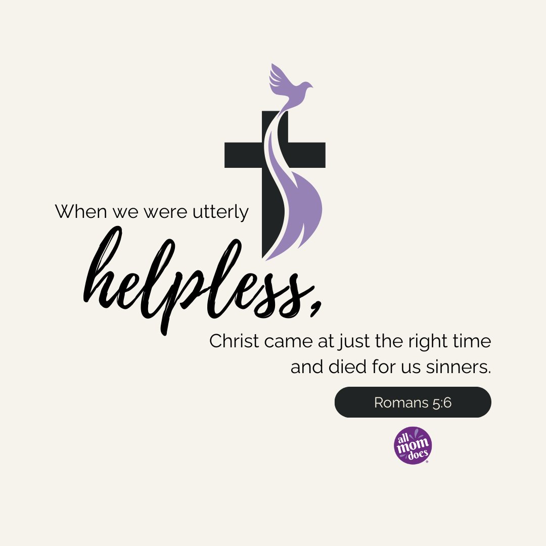 AllMomDoes tweet media