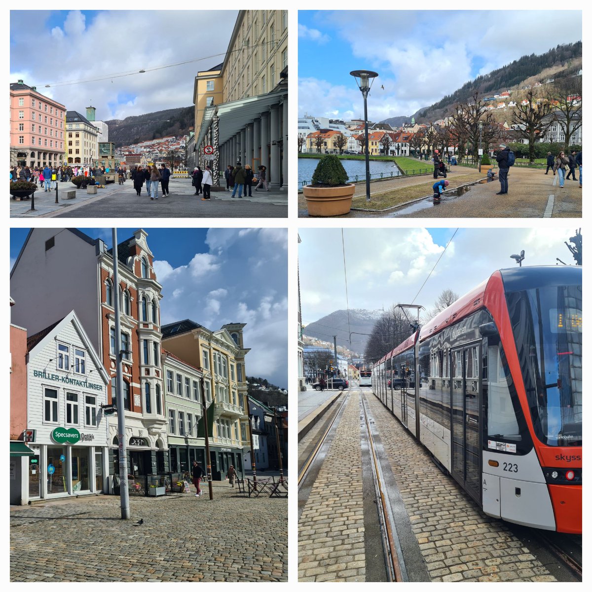 scandiFELLA🇧🇻 tweet media